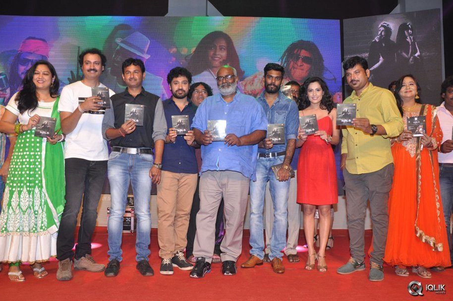 Control-C-Movie-Audio-Launch